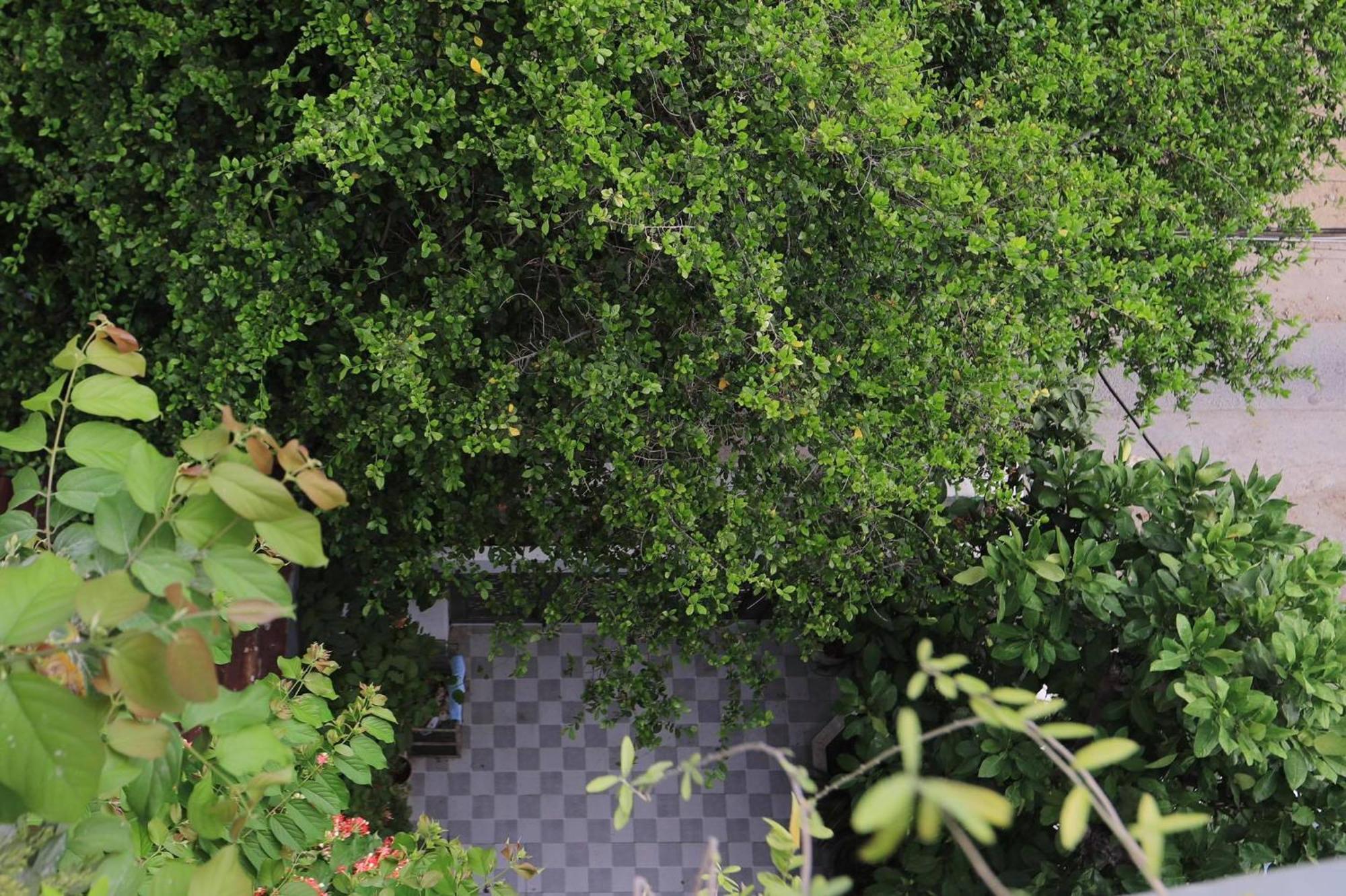 Seashine Apartment ダナン市 エクステリア 写真